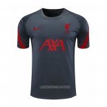 Camiseta de Entrenamiento Liverpool 2020-2021 Gris