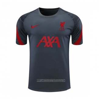Camiseta de Entrenamiento Liverpool 2020-2021 Gris